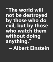 The world will not be destroyed by evil doing but the watch them without doing anything Einstein